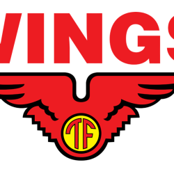 Wings Group Indonesia