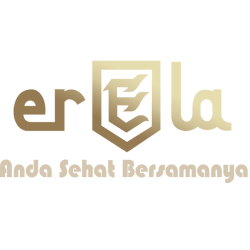 PT Erela